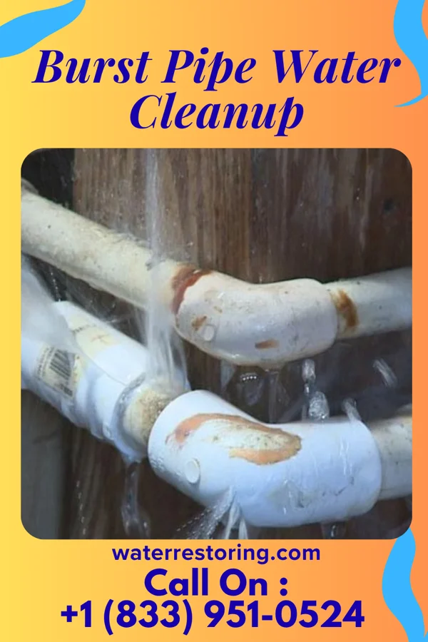 Burst Pipe Water Cleanup in Polk, PA