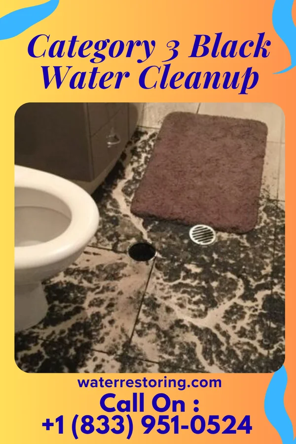 Category 3 Black Water Cleanup in Polk, PA
