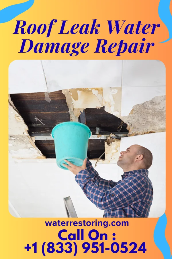 Roof Leak Water Damage Repair in Polk, PA