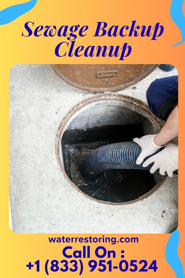 Sewage Backup Cleanup in Polk, PA