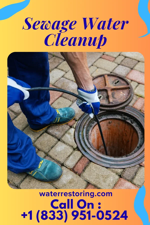 Sewage Water Cleanup in Polk, PA