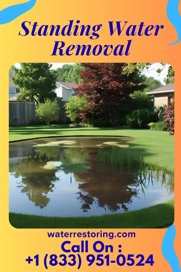 Standing Water Removal in Polk, PA